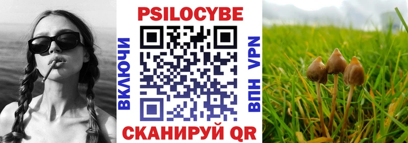где продают наркотики  Невинномысск  Галлюциногенные грибы Cubensis 