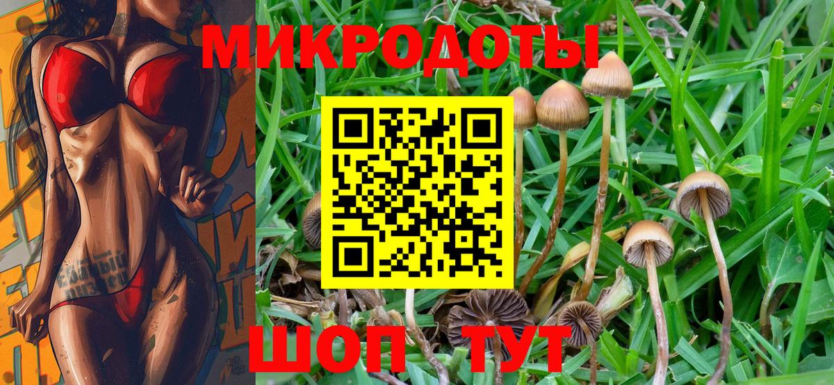 Галлюциногенные грибы GOLDEN TEACHER Невинномысск
